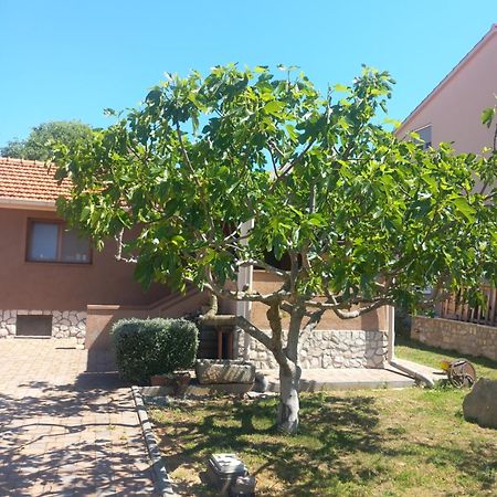 Apartmani Goga Biograd Na Moru Exteriér fotografie