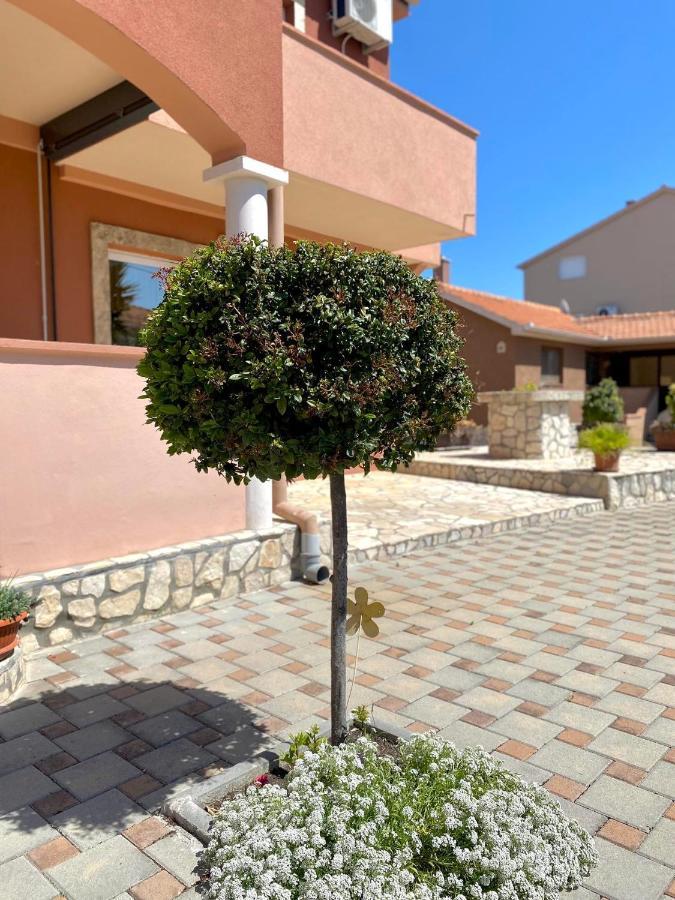 Apartmani Goga Biograd Na Moru Exteriér fotografie
