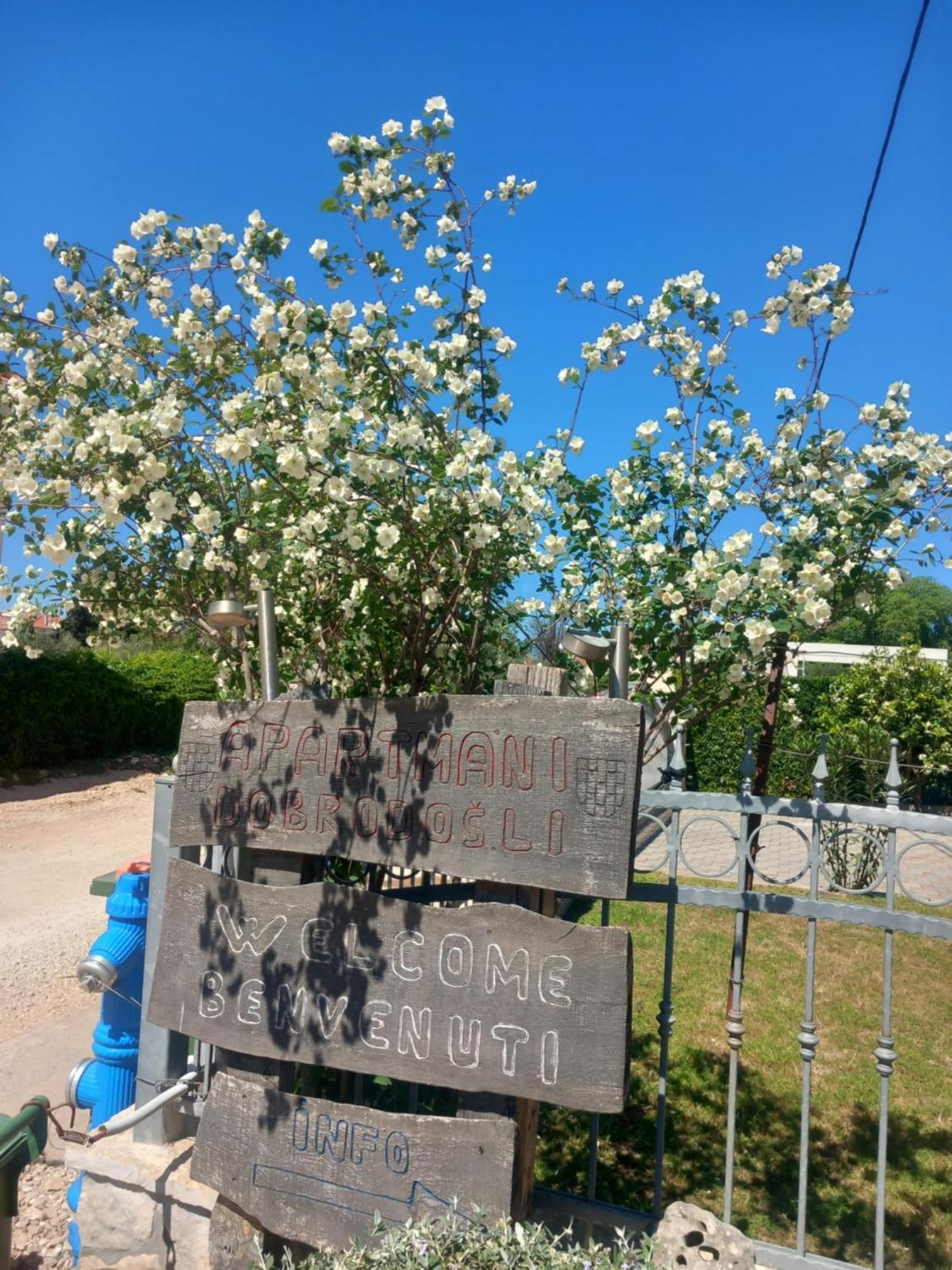 Apartmani Goga Biograd Na Moru Exteriér fotografie