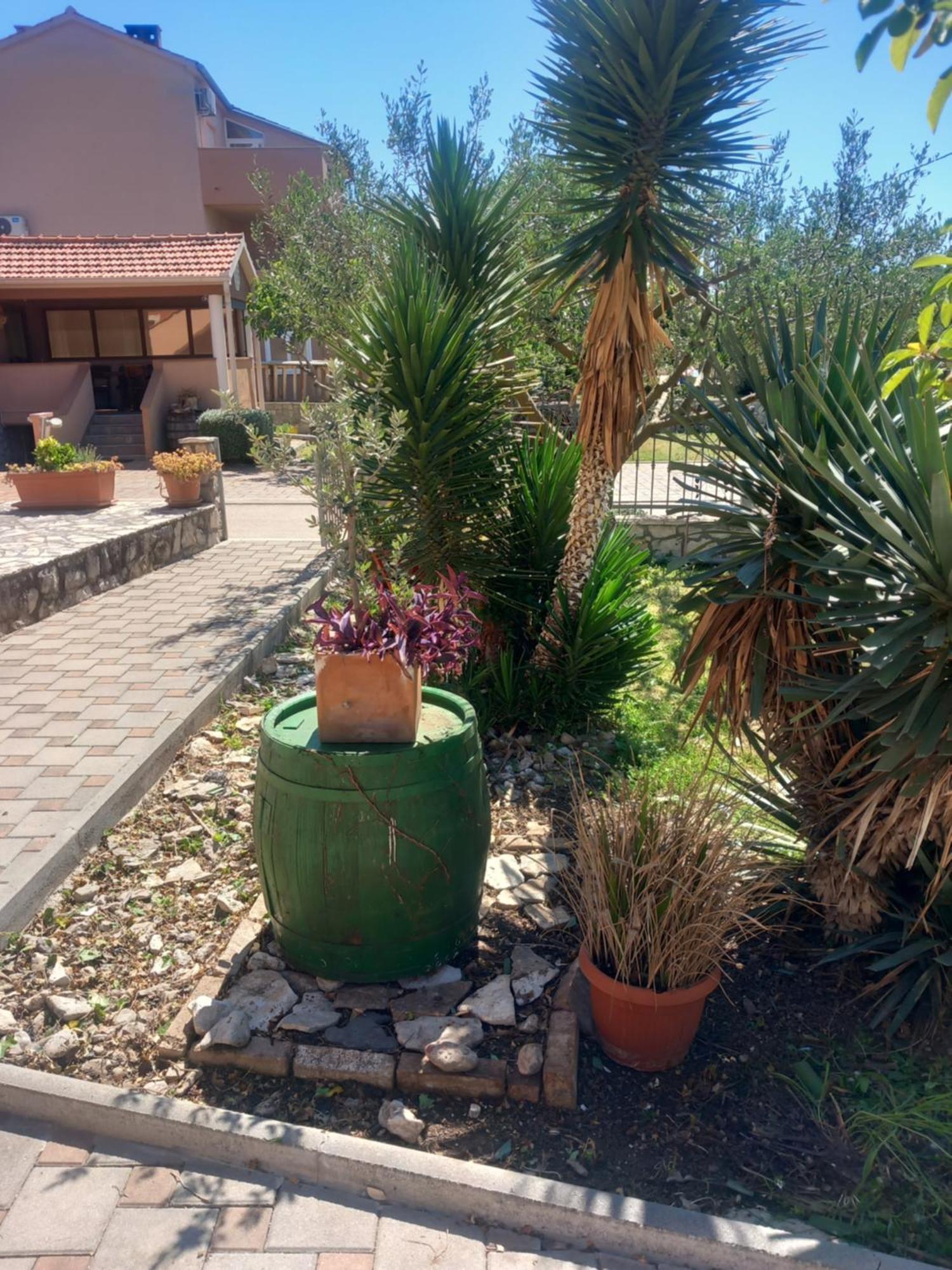 Apartmani Goga Biograd Na Moru Exteriér fotografie